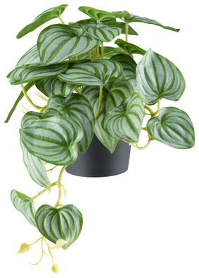 2er Set Kunstpflanzen Peperomia Hänger, 29 Blätter, 24 cm hoch
