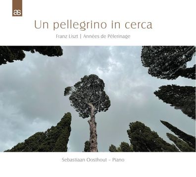 Un pellegrino in cerca - - (CD / Titel: H-Z)