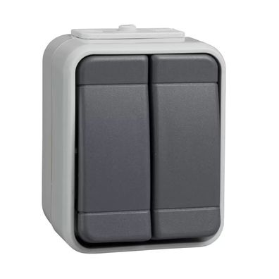 Elso Doppeltaster 10A AquaTop Steckklemme licht/basaltgrau 442509