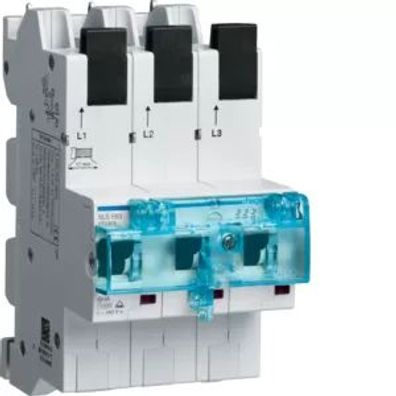 Hager SLS-Schalter 3P E-63A Sammelschiene QC HTS363E