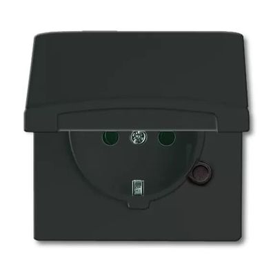 Busch-Jaeger 20 EUGK-35-101 | SCHUKO® Steckdosen-Einsatz mit Klappdeckel