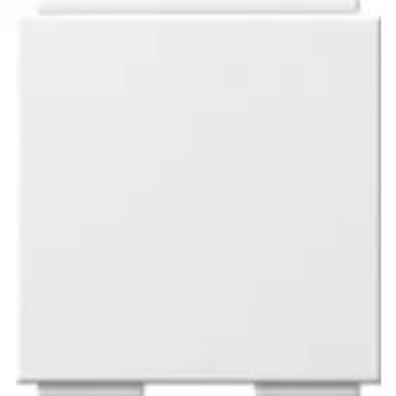 Gira Uni-Blindabd. Abd. MJ 2f 30° + BSF System 55 Reinweiß 264503