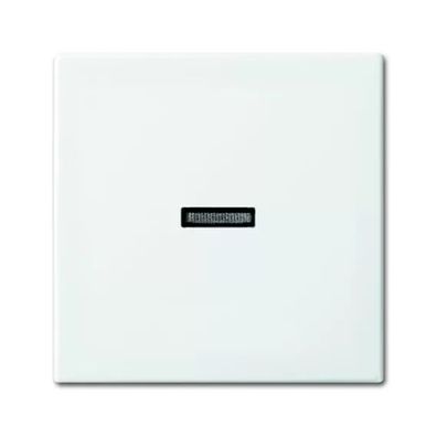 Busch-Jaeger 1789 N-914 | Wippe mit kleiner transparenter Kalotte