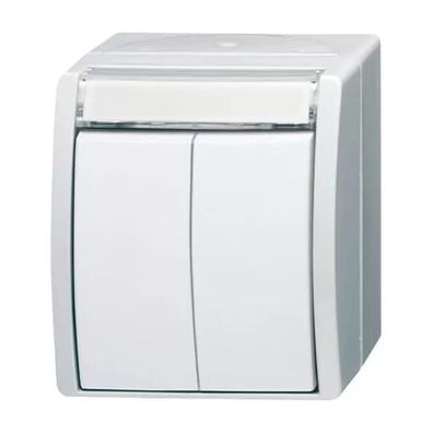 Busch-Jaeger 2621 WN-54-205-101 | Doppeltaster/Serientaster 2 Schließer, 1-polig (Arb