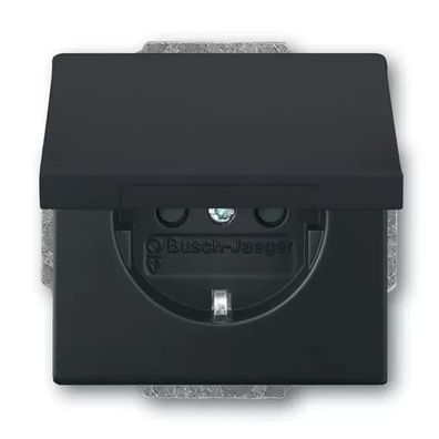Busch-Jaeger 20 EUKBR-885 | SCHUKO® Steckdosen-Einsatz mit Klappdeckel und int. erh.