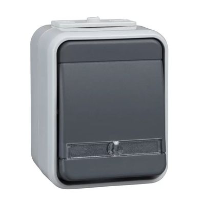 Elso Taster beleuchtet separatem N-Leit 10A AquaTop Steckklemme licht/basaltgrau ELG4
