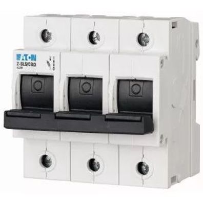 Eaton Sicherungs-Lasttrennschalter + Blinkfunktion, 63A, 3p 248249