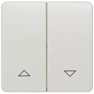 Siemens DELTA profil, titanweiß Wippe mit Jalousiesymbolen für Jalousietaster, 65x 65