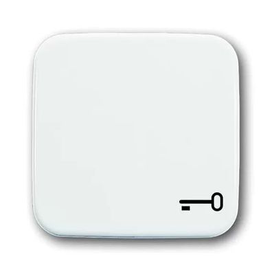 Busch-Jaeger 2520 TR-214 | Wippe mit Aufdruck Schlüssel