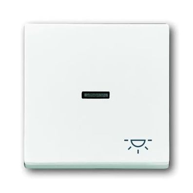 Busch-Jaeger 1789 LI-84 | Wippe mit Aufdruck mit kleiner transparenter Kalotte