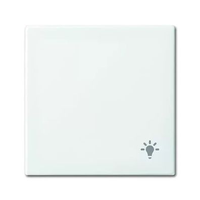 Busch-Jaeger 2520 LI-914 | Wippe mit Aufdruck Mit Symbol "Licht"