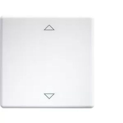 Eltako Wippen lasergraviert für Taster und Schalter 55er Design und E-Design55 reinwe
