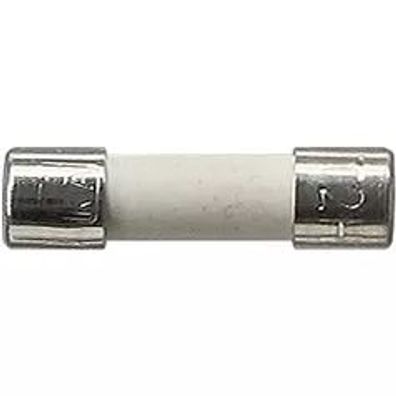 Gira Sicherung T 2 H 250 V Zubehör 049806