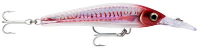 Rapala Shad Rap SSR-9