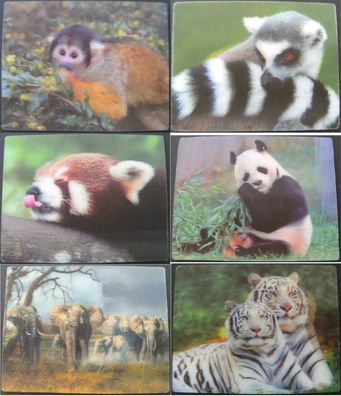 3 D Magnet wilde Tiere 9x7cm Kühlschrankmagneten Tier Zootiere 3D für Magnettafel