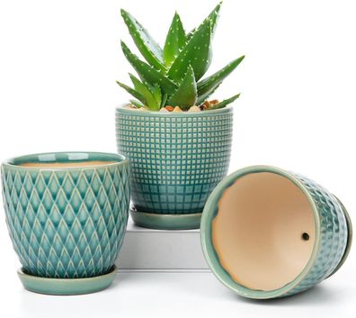 Oairse Blumentopf Keramik Pflanztöpfe 3 Set runde, Succulent Topf, Pflanzen