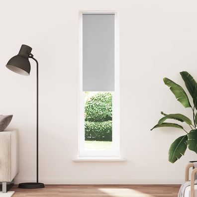 vidaXL Verdunkelungsrollo Hellgrau 40x210 cm Stoffbreite 35,7 cm