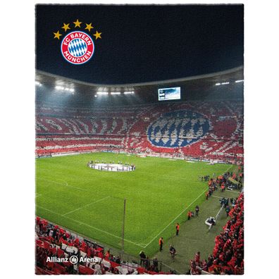 FC Bayern München Teppich Allianz-Arena 100x130 cm