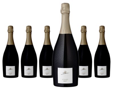 6 x Weingut A. Diehl Pinot Brut – 2021