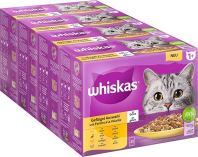 Whiskas 1 + Katzenfutter Geflégel Auswahl in Gelee, 12x85g 4 Packungen 48 Beutel