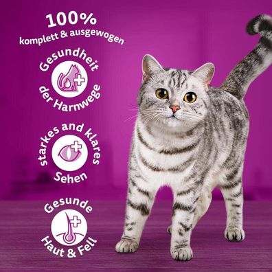 Whiskas Adult 1+ Trockenfutter Huhn, 5x800g (5 Packungen) - Katzen-Trockenfutter