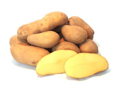 Kartoffeln Ditta festkochend - Deutsche Speisekartoffel - 1 - 25 KG neue Ernte 2024