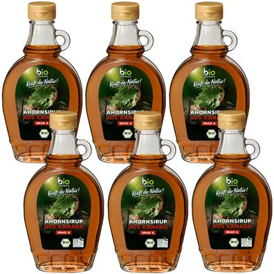 biozentrale Bio Ahorn Sirup original kanadisch 250ml 6er Pack