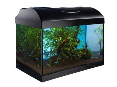 Superfish Home 8 - LED Komplett Set Nano Aquarium 8 Liter (schwarz o. weiß)