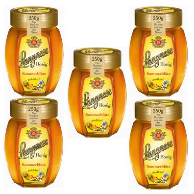 Langnese Honig Sommerblüten goldklar süß und fein 250g 5er Pack