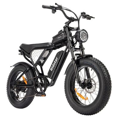 1000W 48V 15AH 40km/h Ridstar Q20 Mini Elektrofahrrad mit 20 * 4.0 Fettreifen