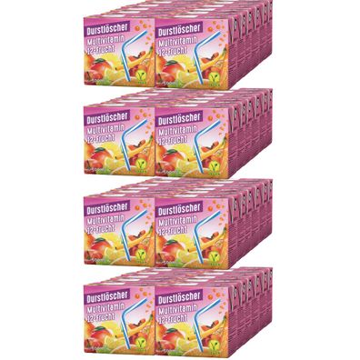 Durstlöscher Multivitamin fruchtiges Fruchtsaftgetränk 500ml 48er Pack