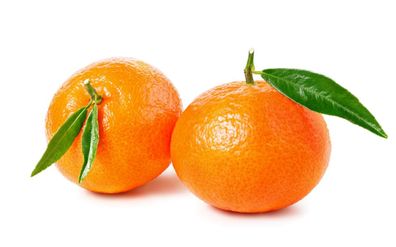 Zitronenbaum Clementine Spinoso (120-150 cm) Süße Clementine für deinen Garten