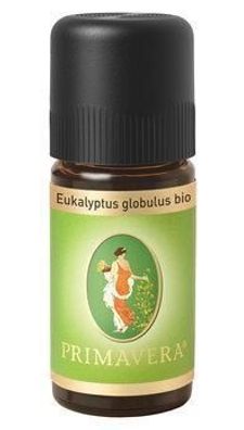 Primavera Eukalyptus globulus bio Ätherisches Öl 10ml