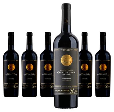 6 x Miguel Torres Chile Cordillera Carmenère Cachapoal Valley – 2022