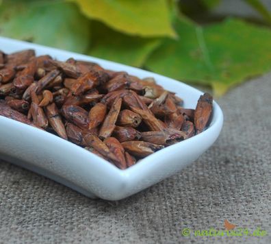Pappelknospen ganz 500 g