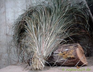 Mariengras ganz 100 g