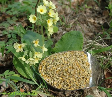 Schlüsselblumenblüten mit Kelch geschnitten 1 kg