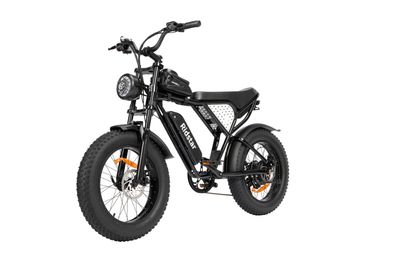 Ridstar Q20 Lite 20" Fat Tires Electric Mountain Bike 500W Motor 48V 15Ah Battery