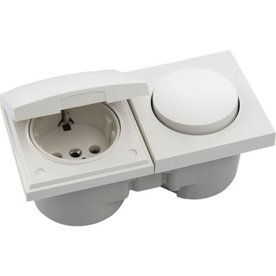 Berker Integro Pure Schalter/Deckel polarweiß glänzend + Steckdose polarweiß