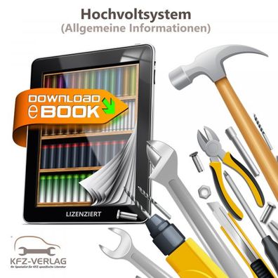 Cupra Formentor KM ab 2020 Hochvolt Allgemeine Infos Reparaturanleitung eBook