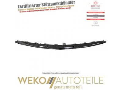 Zier-/Schutzleiste, Stoßfänger vorne Diederichs 1618364 für Mercedes-benz