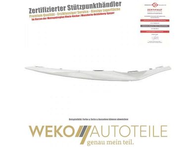 Zier-/Schutzleistensatz, Stoßfänger vorne links Diederichs 1682365 für