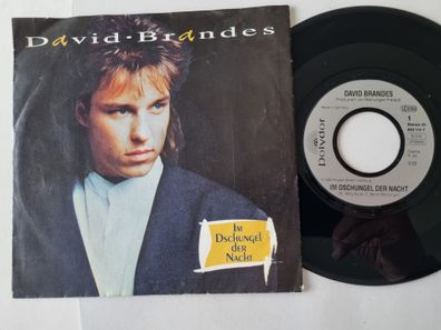 David Brandes - Im Dschungel Der Nacht 7'' Vinyl Germany