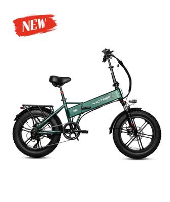 20 Zoll E-Fatbike 750W 48V 15Ah bis 45 km/h mit Gepäckträger Hinterradfederung E-MTB