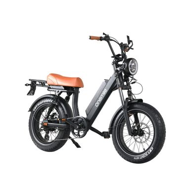 Step-thru E-Mountainbike Onemile mit COC-Zertifikat E-Fat Bike Elektrofahrrad