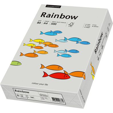 Papyrus Kopierpapier Rainbow grau Buntpapier DIN A4 80g 500 Blatt