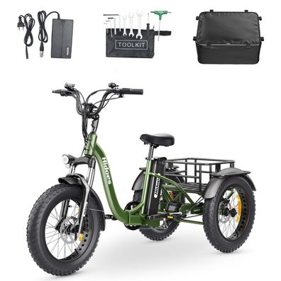 Elektrofahrrad E-Bike Dreirad Tricycle 48V 20Ah 85N.M 20 * 4.0 Zoll Elektrofahrräder