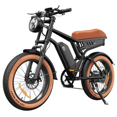 250W 48V 13Ah 20 Zoll 45km/h isinwheel R6 Elektrofahrrad mit hydraulischer Vordergabe