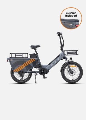 Cargo E-Bike, E-Lastenfahrrad, Step-Through ENGWE LE20 750W 48V19AH Single Battery