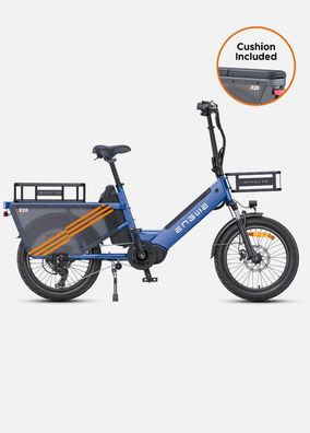 Elektro-Lastenrad, Kombi-Paket, Doppelakku, 750W 48V19.2AH, Kindersitz, Cargo E-bike